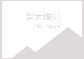 台山夏岚钢结构有限公司